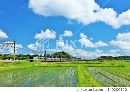 Chiba Prefecture: A train running through the blue sky and fresh green rice fields (Sobu Line Rapid) Chiba Prefecture: A train running through the blue sky and fresh green rice fields (Sobu Line Rapid) 140206120