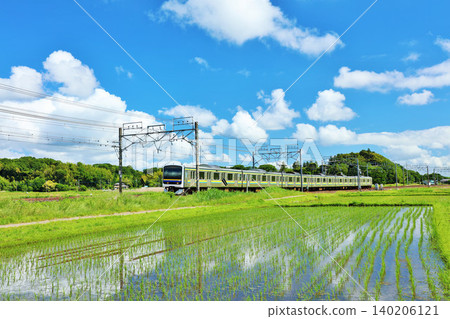 Chiba Prefecture: A train running through the blue sky and fresh green rice fields 140206121