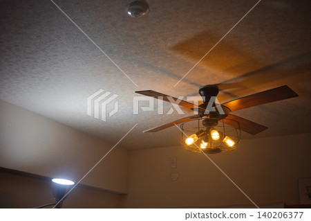 Ceiling fan 140206377