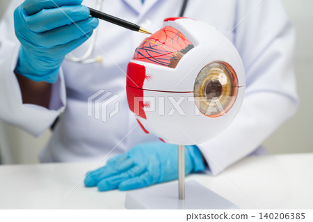 Asian doctor with eye human anatomy model for study diagnosis and treatment in hospital. Asian doctor with eye human anatomy model for study diagnosis and treatment in hospital. 140206385