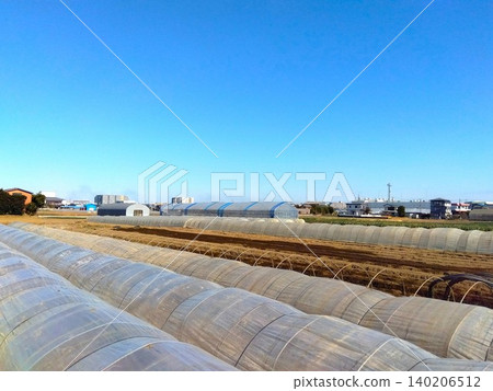 A winter scene of vegetable fields covered with plastic sheeting in the suburbs. A winter scene of vegetable fields covered with plastic sheeting in the suburbs. 140206512