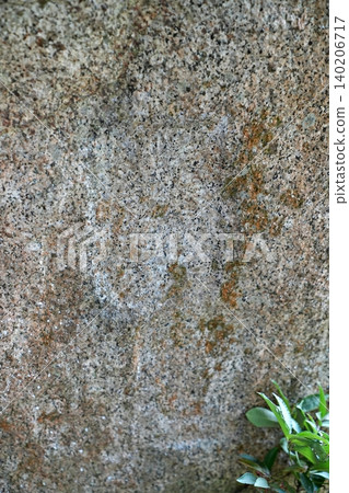 Nara City, Yagyu, Smallpox Jizo, Inscription on the Tokusei Monument (Early Summer) 140206717