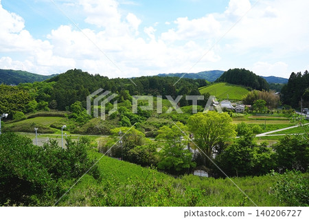 奈良市:綿延的茶園和稻田(攝於大安麿墓,初夏) 奈良市:綿延的茶園和稻田(攝於大安麿墓,初夏) 140206727
