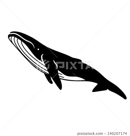 Simple and cute whale vector illustration 140207174