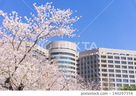 Cherry blossoms in Tsurumai Park and Nagoya University Hospital (Nagoya University Hospital) Cherry blossoms in Tsurumai Park and Nagoya University Hospital (Nagoya University Hospital) 140207354