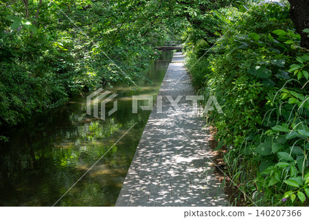 Nikaryo Canal before the rainy season 140207366