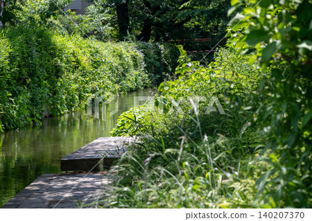 Nikaryo Canal before the rainy season Nikaryo Canal before the rainy season 140207370