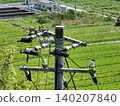 Technical documentation includes aerial photographs of the tops of utility poles, power lines, and insulators. 140207840