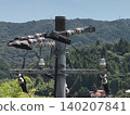 Technical documentation includes photographs of the top of a utility pole, the power lines and insulators, and a side view. 140207841