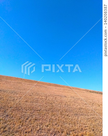 除草後的江戶川河堤冬季景色。 除草後的江戶川河堤冬季景色。 140208387