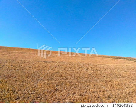 除草後的江戶川河堤冬季景色。 除草後的江戶川河堤冬季景色。 140208388