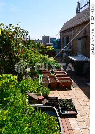 I'm completely absorbed in gardening and enjoying my hobby to the fullest on the rooftop balcony of my apartment. I'm completely absorbed in gardening and enjoying my hobby to the fullest on the rooftop balcony of my apartment. 140209356