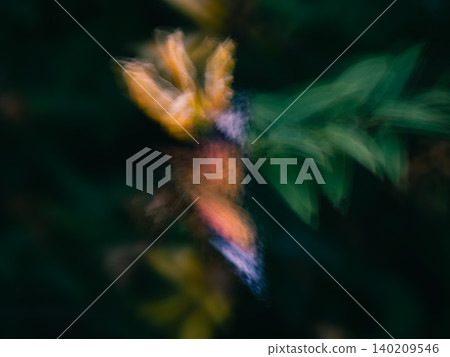 花與蝴蝶 ICM 花與蝴蝶 ICM 140209546