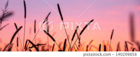 Sunset over the field. Serenity rural landscape. Wild grass against a sunset sky in autumn 140209858