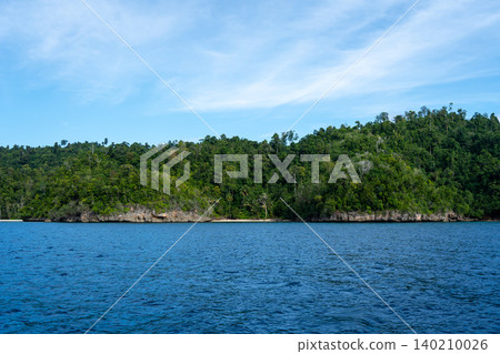 Coconut lined beach on Waleakodi Island, Togian archipelago, Sulawesi, Indonesia Coconut lined beach on Waleakodi Island, Togian archipelago, Sulawesi, Indonesia 140210026