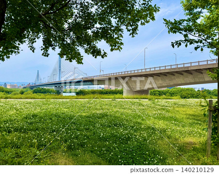Fresh green landscape 140210129