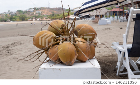 Exotic fruit. Exotic summer fruit of fresh coconut. Exotic coconut palm fruit. Tropical food. Island food. Luxury coco fruit. Travel and vacation. Exotic harvest. Coconut tropical food Exotic fruit. Exotic summer fruit of fresh coconut. Exotic coconut palm fruit. Tropical food. Island food. Luxury coco fruit. Travel and vacation. Exotic harvest. Coconut tropical food 140211050