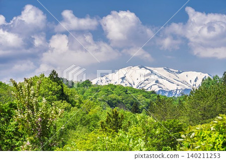 在綠意盎然的季節,從白川湖望去,可以看到山形縣飯出町白川湖畔白雪皚皚的飯出山脈。 在綠意盎然的季節,從白川湖望去,可以看到山形縣飯出町白川湖畔白雪皚皚的飯出山脈。 140211253