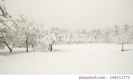 Seoraksan Mountain, Sogongwon Seoraksan Mountain, Sogongwon 140211773