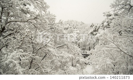 Seoraksan Mountain, Sogongwon Seoraksan Mountain, Sogongwon 140211873
