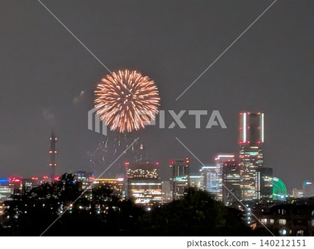港未來港開幕祭煙火 140212151