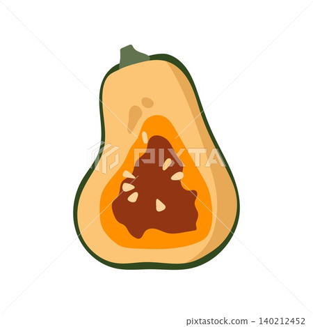 Butternut squash cut flat vector illustration slice vegetable autumn harvest food Butternut squash cut flat vector illustration slice vegetable autumn harvest food 140212452