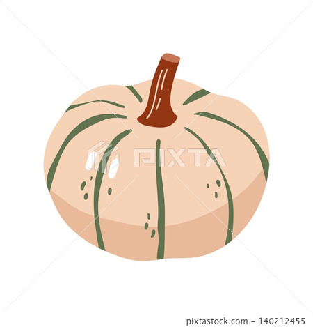 Light beige pumpkin flat vector illustration autumn decorative harvest vegetable Light beige pumpkin flat vector illustration autumn decorative harvest vegetable 140212455