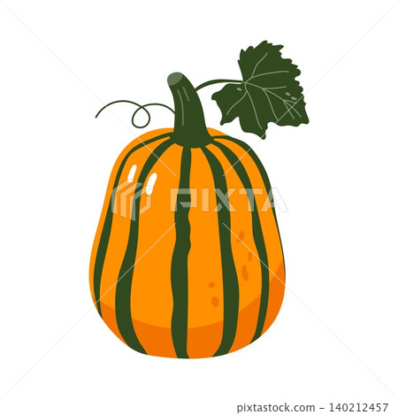 Striped orange pumpkin flat vector illustration autumn harvest decorative vegetable Striped orange pumpkin flat vector illustration autumn harvest decorative vegetable 140212457