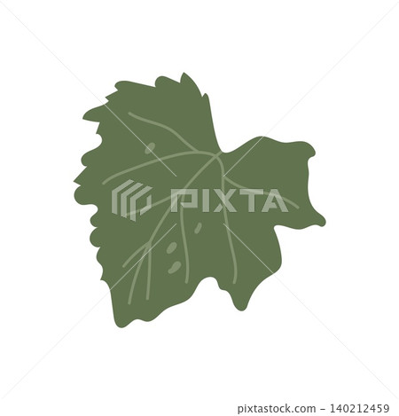 Pumpkin leaf flat vector illustration isolated green botanical autumn element Pumpkin leaf flat vector illustration isolated green botanical autumn element 140212459