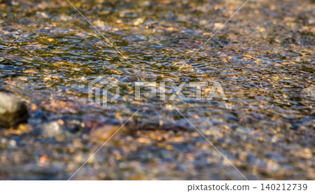 河流流水聲和水面波光粼粼。 河流流水聲和水面波光粼粼。 140212739