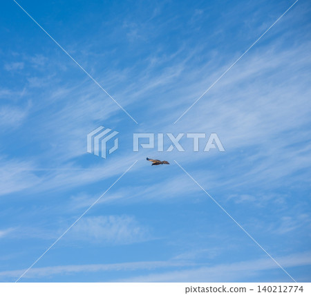 A kite soaring through the blue sky A kite soaring through the blue sky 140212774