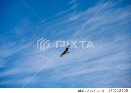 A kite soaring through the blue sky A kite soaring through the blue sky 140212806