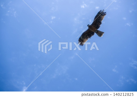 A kite soaring through the vast blue sky 140212825