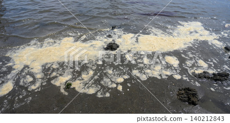 Foam and dirt washing ashore Foam and dirt washing ashore 140212843