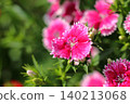 Red Nadesico Flower 140213068