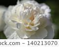White button 140213070