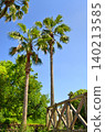 A landscape with palm trees and a wooden deck. 140213585