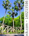 A landscape with palm trees and a wooden deck. 140213586