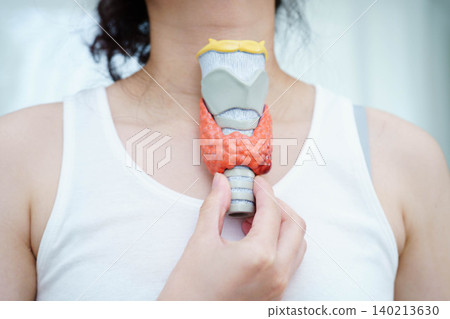 Hyperthyroidism, Overactive Thyroid, Thyroid Lymphoma, Asian woman with thyroid gland human anatomy model. Hyperthyroidism, Overactive Thyroid, Thyroid Lymphoma, Asian woman with thyroid gland human anatomy model. 140213630