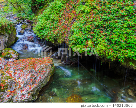 Late autumn at Kamba Falls Nature Park: The cascading Tamadare Falls and the fallen autumn leaves adorning the rocks, captured with a slow shutter speed. Late autumn at Kamba Falls Nature Park: The cascading Tamadare Falls and the fallen autumn leaves adorning the rocks, captured with a slow shutter speed. 140213863
