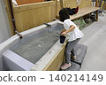 Treasure Stone, Gifu, Oasis Park 140214149