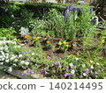 Early summer flowers such as verbena, dusty miller, marigolds, and salvia (sold as seedlings in May) 140214495