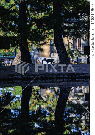 The silhouettes of deer and the pine forest of Nara Park reflected in the water. 140214960