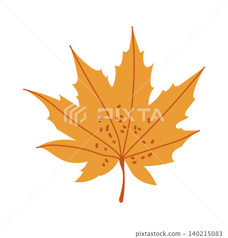 Yellow maple leaf vector autumn illustration isolated on white background Yellow maple leaf vector autumn illustration isolated on white background 140215083