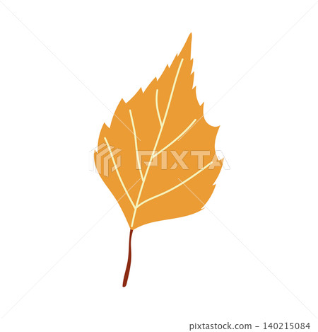 Yellow birch or aspen leaf vector autumn illustration isolated Yellow birch or aspen leaf vector autumn illustration isolated 140215084