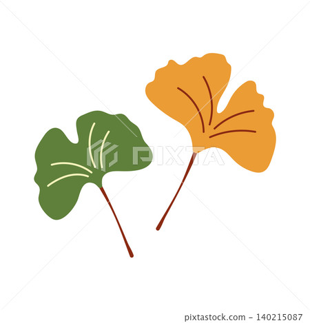 Ginkgo biloba leaves in green and yellow colors vector autumn element Ginkgo biloba leaves in green and yellow colors vector autumn element 140215087