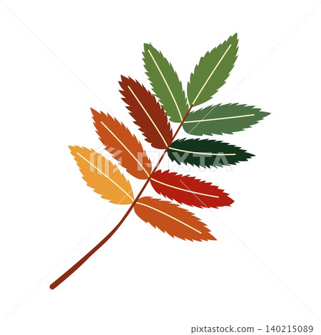 Colorful rowan leaf with red yellow and green gradients vector autumn element Colorful rowan leaf with red yellow and green gradients vector autumn element 140215089