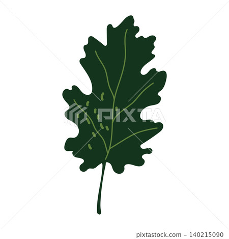 Dark green oak leaf vector autumn illustration isolated on white Dark green oak leaf vector autumn illustration isolated on white 140215090