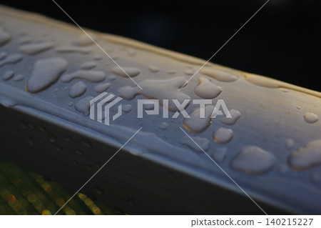 Raindrops on the railing (top left to bottom right) Raindrops on the railing (top left to bottom right) 140215227
