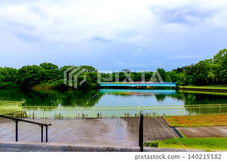 [Osaka] Nagai Park in summer: The large pond and Ichimonji Bridge in Nagai Botanical Garden 140215582